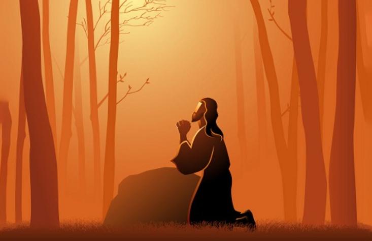 Screenshot_3.jpg